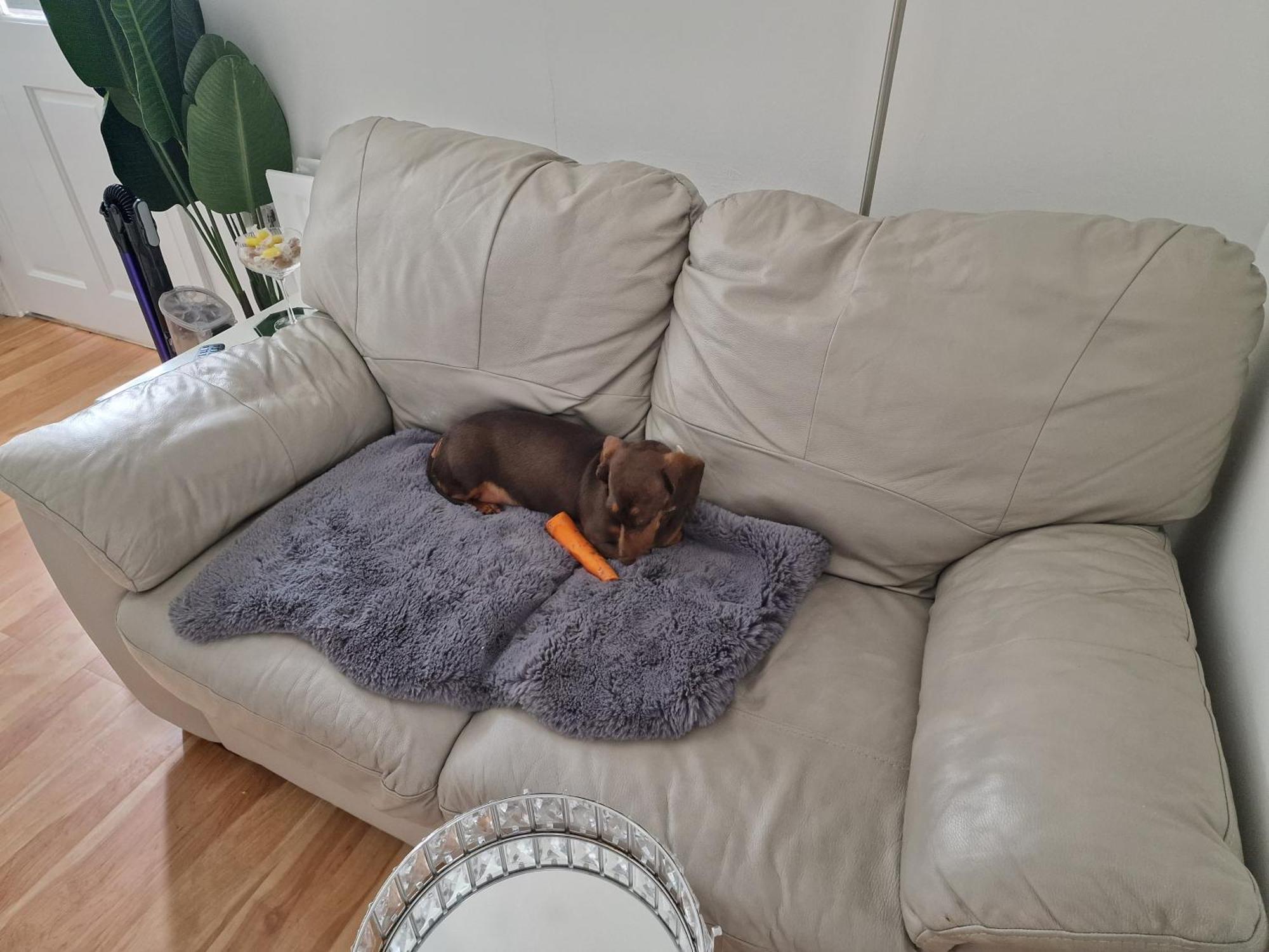 Aunty Katie'S House, Ni Tourist Board Certified & Located On The Main Oldpark Road To Belfast, With Free Continental Breakfast & Free Ultra Fast Sky Internet, Free Sky Sports & Free Sky Cinema, Self-Check In After 10Pm Gmt Hostel Ngoại thất bức ảnh